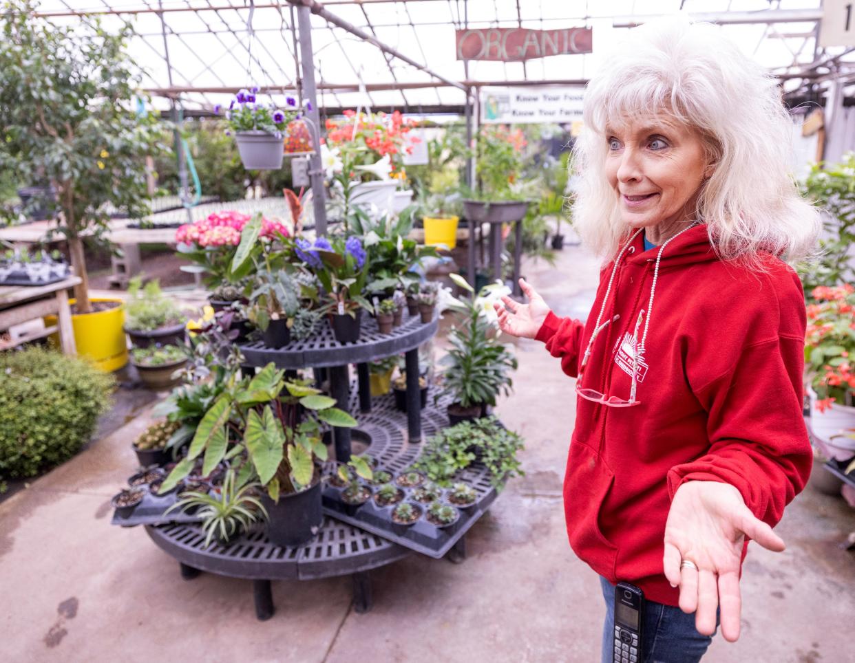 Cindy Petitti- Walton , owner of Anthony Petitti Organic Greenhouse in Nimishillen Township, talks about the business' 100th anniversary.