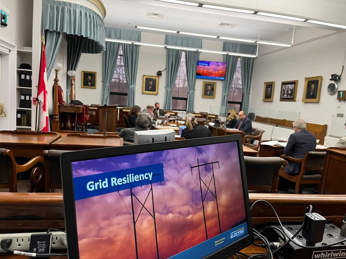 Some MLAs on the legislative committee receiving the briefing made it clear the measures don't go far enough or move quickly enough. (Kerry Campbell/CBC - image credit)