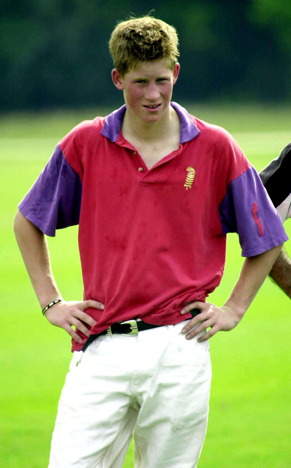 Prince Harry (pictured in 2001) 