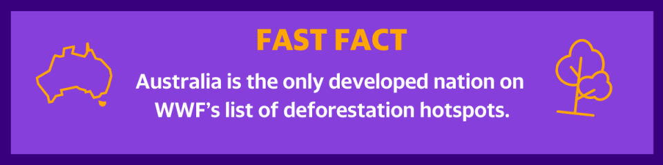 Australia the only developed nation on WWF’s list of deforestation hotspots.