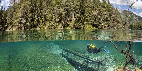 In spring it becomes a popular spot for curious scuba divers