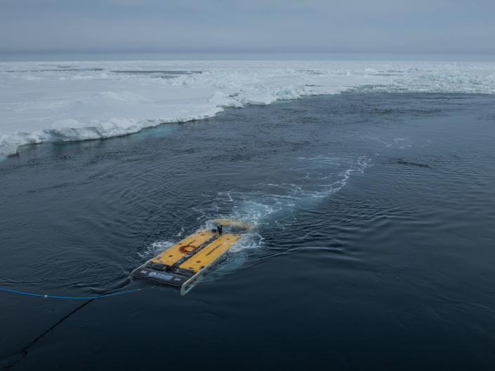 An undersea drone