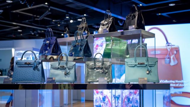 Crocodile Bites Show Why Your Birkin Bag Is So Expensive