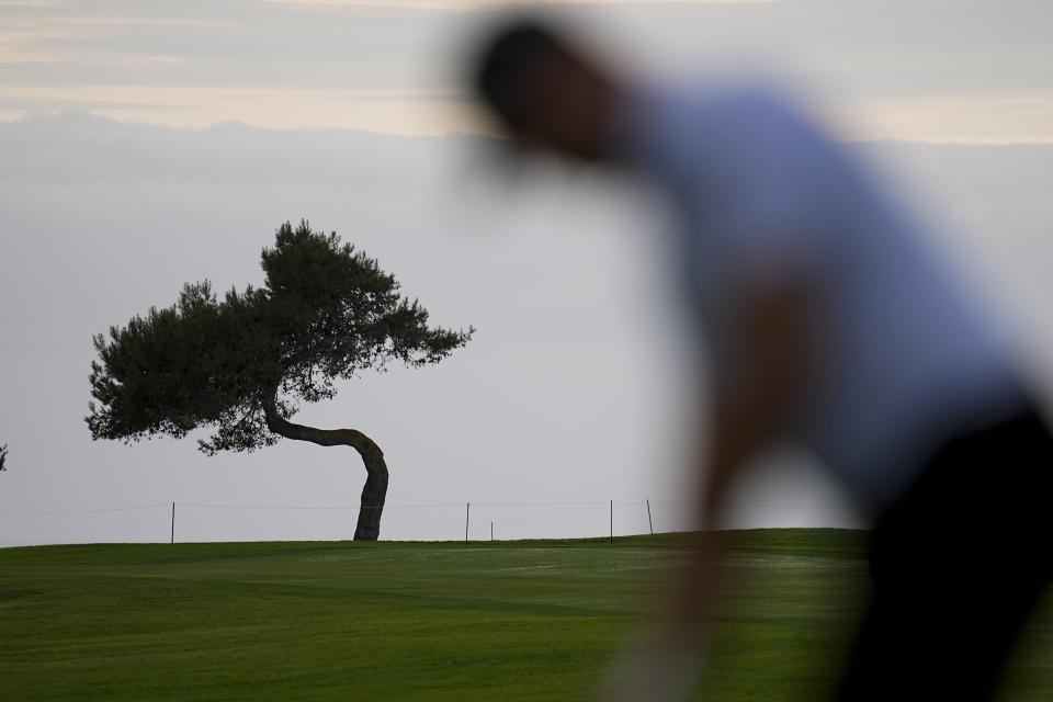 A Torrey pine tree sits along the fairway as Gary Woodland putts on the sixth hole of the South Course at Torrey Pines during the first round of the Farmers Insurance Open golf tournament,Wednesday, Jan. 24, 2024, in San Diego. (AP Photo/Gregory Bull)
