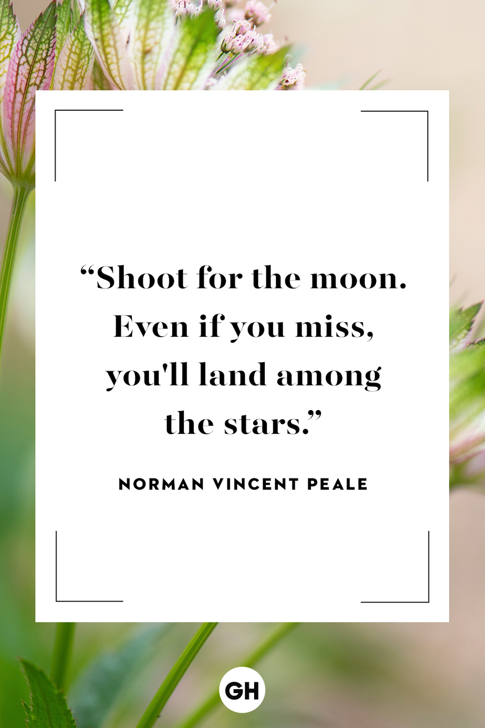 <p>Shoot for the moon. Even if you miss, you'll land among the stars.</p>