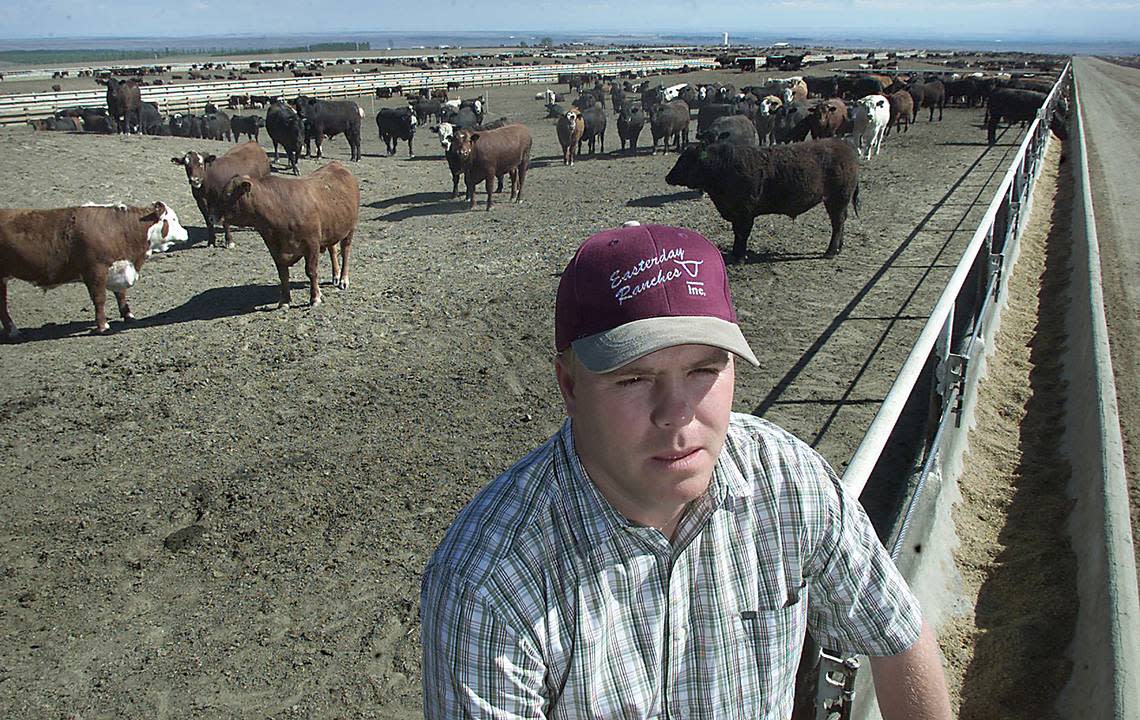 Cody Easterday of Easterday Farms looks out over his feedlot off Nine Canyon Road south of Kennewick in 2005.