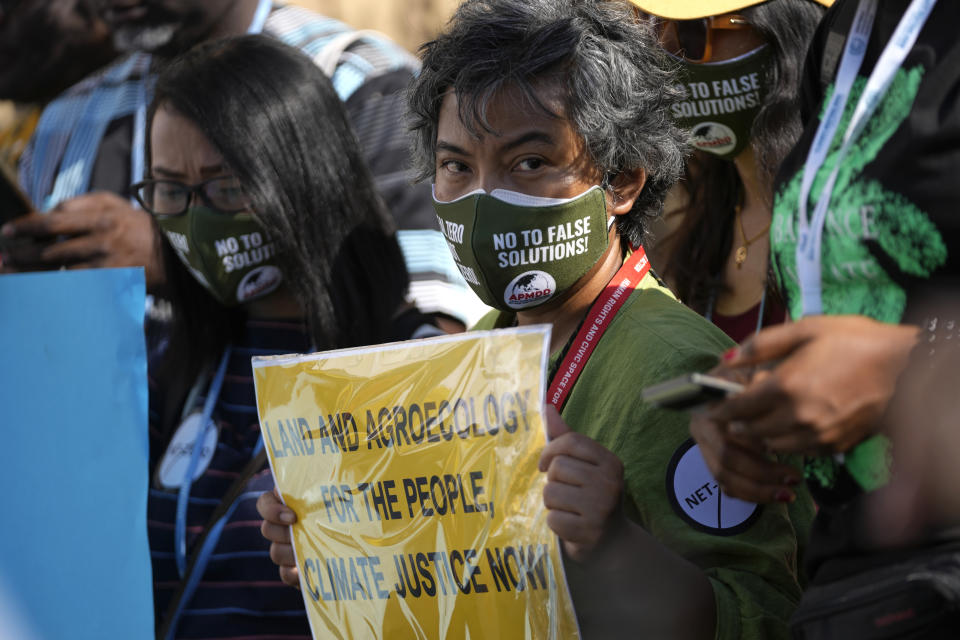 Demonstrators participate in a protest at the COP27 U.N. Climate Summit, Wednesday, Nov. 16, 2022, in Sharm el-Sheikh, Egypt. (AP Photo/Peter Dejong)
