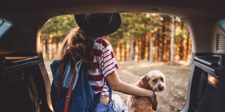 person and their dog in the back of a car after getting a second chance auto loan