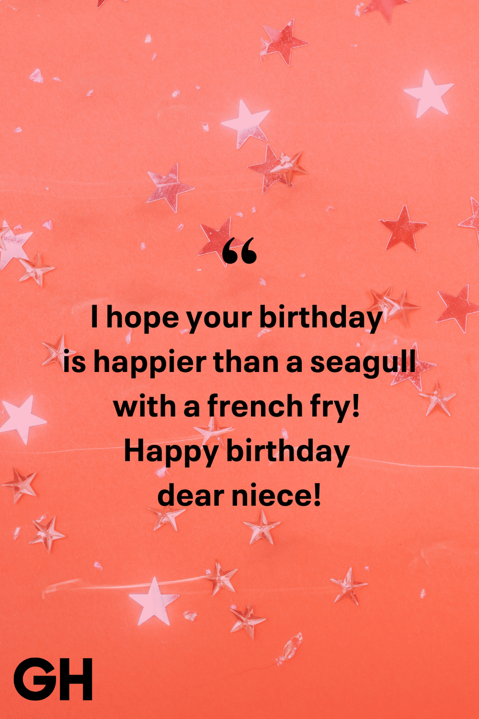 i hope your birthday is happier than a seagull with a french fry happy birthday dear niece