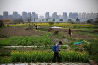 FILE PHOTO: A farmer works on a farm in front of a construction site of new residential buildings in Shanghai