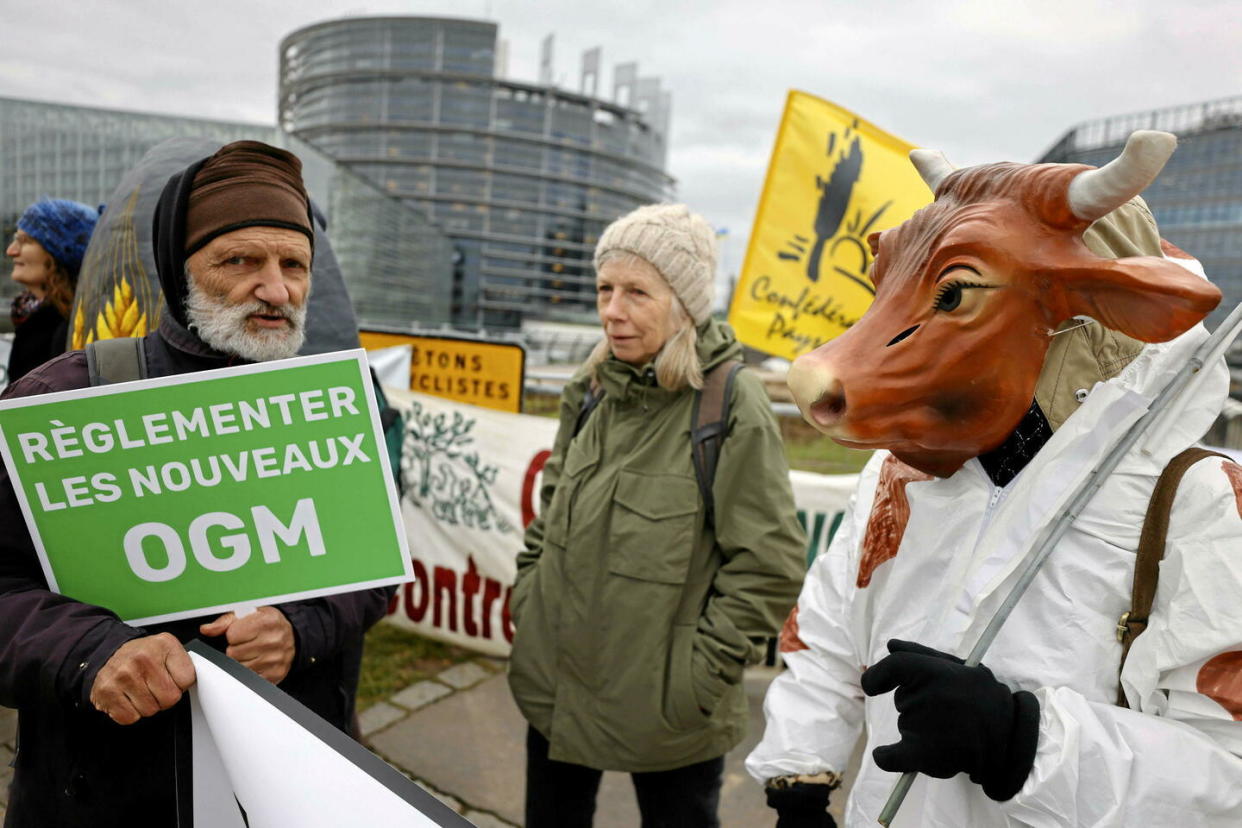 Devant le Parlement européen de Strasbourg (Haut-Rhin), le 6 février 2024, des agriculteurs manifestent à propos du vote sur la réglementation des technologies NGT, considérées comme « les nouveaux OGM ».  - Credit:Jean-Francois Badias/AP/Sipa
