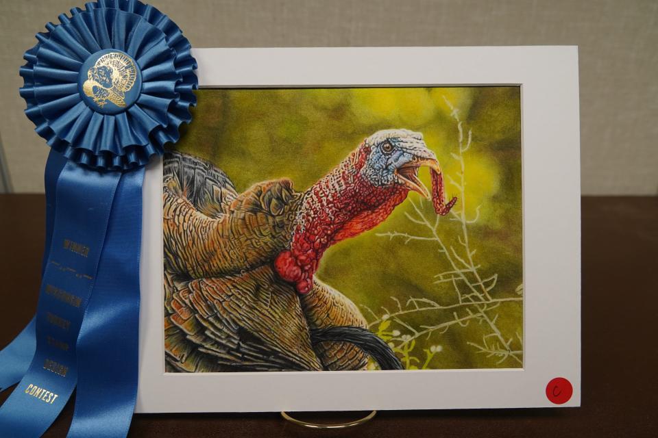 This painting of a wild turkey gobbling by Jim Tostrud of Kenosha won the design contest and will appear on the 2024 Wisconsin wild turkey stamp.