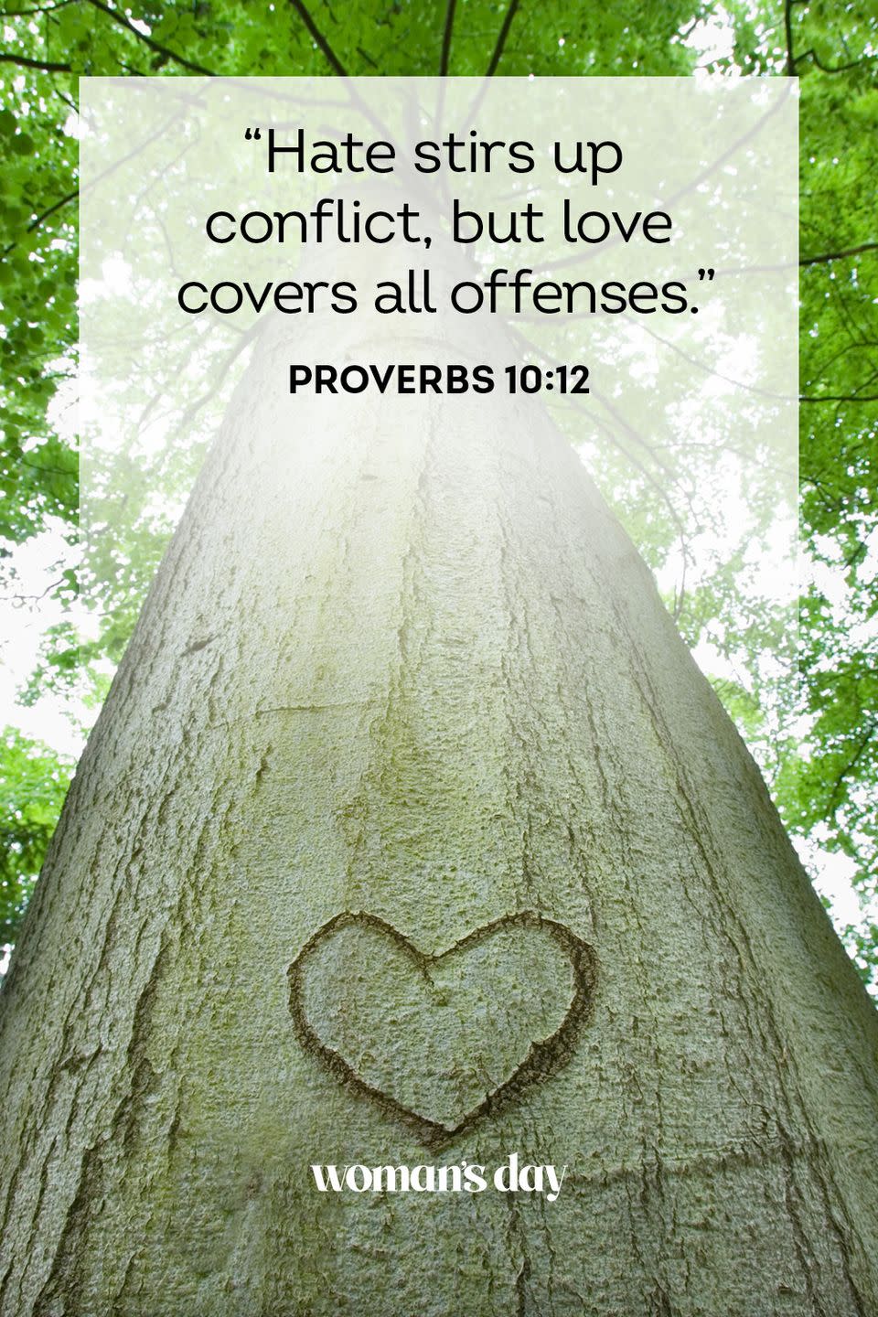 Proverbs 10:12