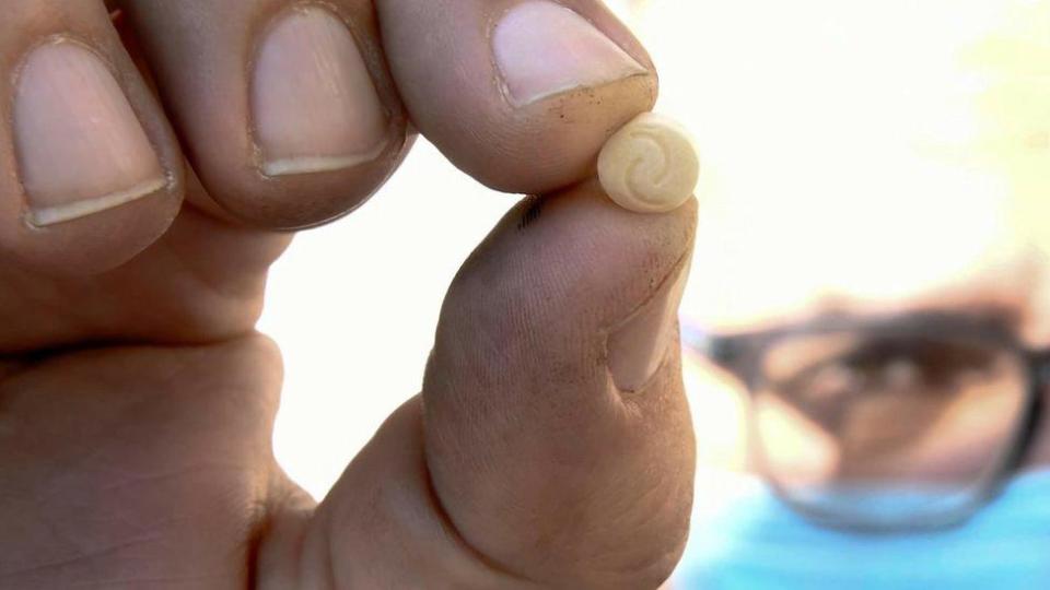Detalle de una pastilla que alguien sostiene enter los dedos.