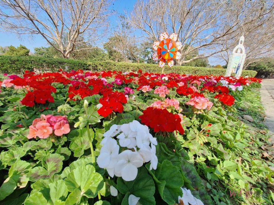 ▲2024春節走春強檔首選「花在彰化」及「月影燈季」，彰化縣長王惠美歡迎您新春期間前來彰化走春、賞花、賞燈、嘗美食、體驗彰化百寶風光。（彰化縣政府提供）