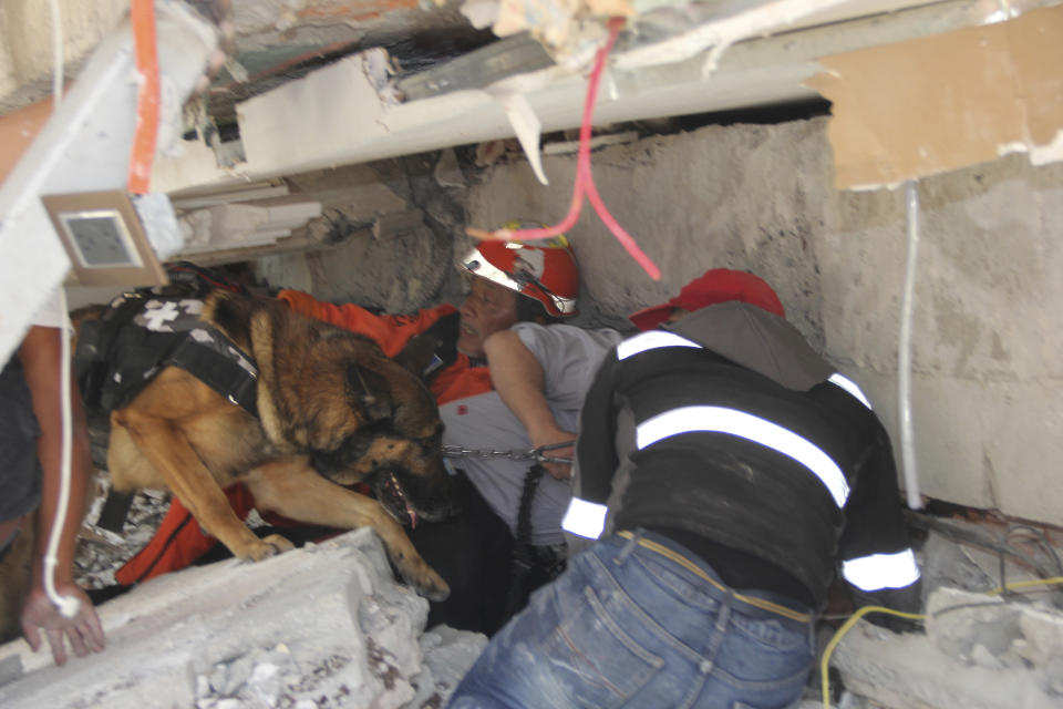 <p>Rescue workers and a trained dog search for children trapped inside the collapsed Enrique Rebsamen school in the Coapa area of Tlalpan, Mexico City, on Sept. 19, 2017. (Photo: Carlos Cisneros/AP) </p>