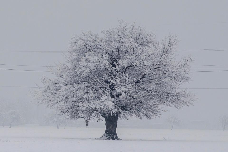 Snow in Kashmir