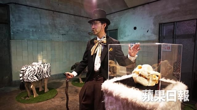 博物館研究員會以科學角度，為遊客講解所展示的動物骨頭與仿真排泄物。