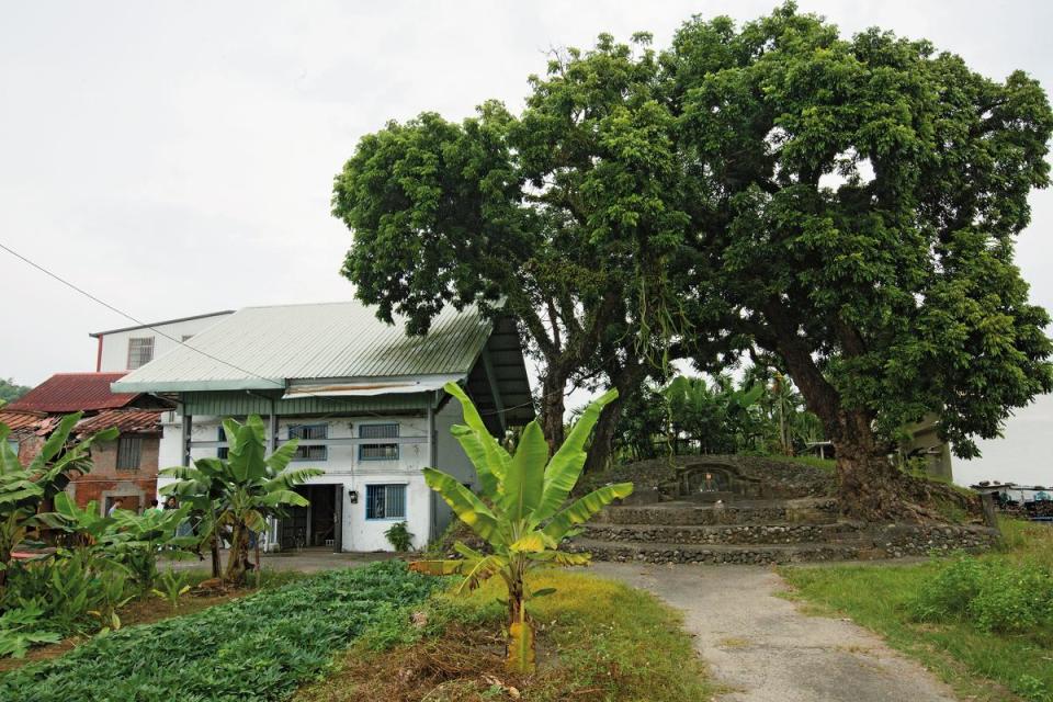 菸樓旁有一小座由大樹守護、做牆的土地公廟，林生祥每回經過，必定先雙手合十默禱。