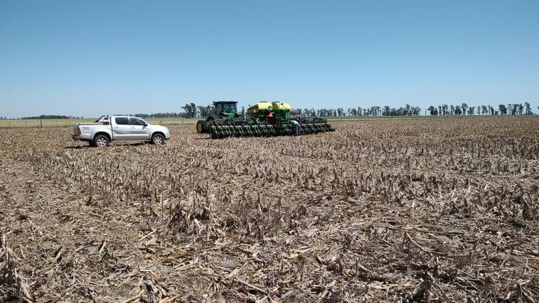 La sequía amenaza con complicar el cultivo de soja