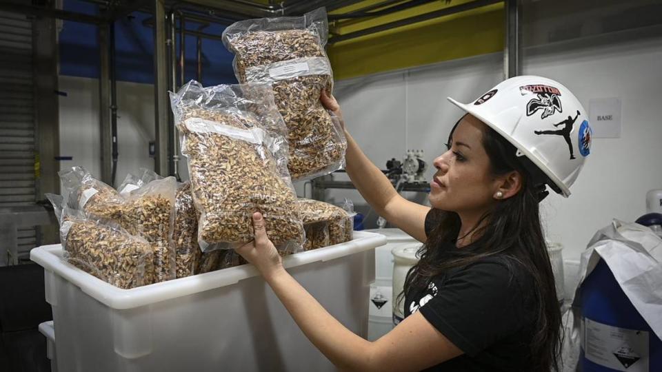 The Better Meat Co.’s executive vice president of operations Doni Curkendall shows bags of their plant-based meat product “rhiza” at their headquarters in West Sacramento in 2022. It will be involved with the new UC Davis’ Integrative Center for Alternative Meat and Protein, or iCAMP.