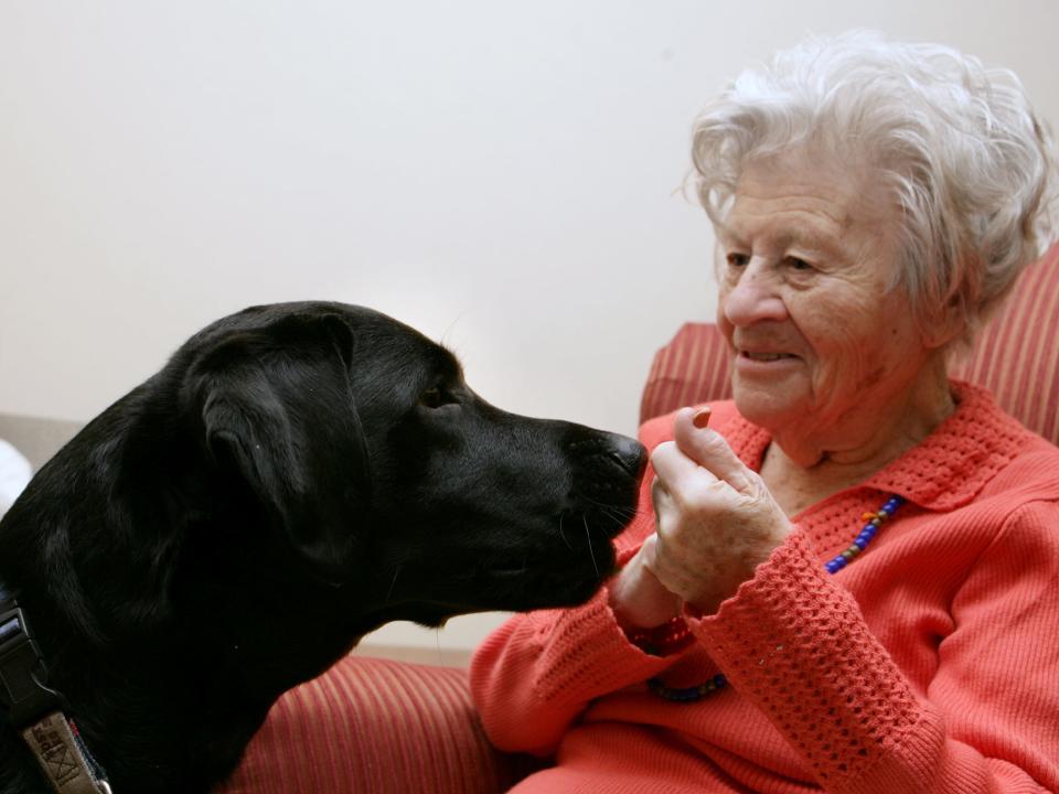 old folks home hospital therapy animal dog elderly