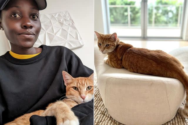 <p>Lupita Nyong'o/instagram</p> Lupita Nyong'o with new cat Yoyo