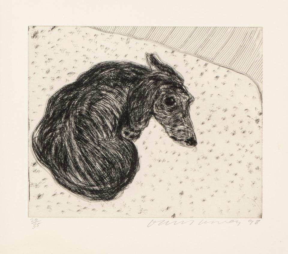 Animal magic: David Hockney’s Dog Etching No 15 from his Dog Wall series - Christie's
