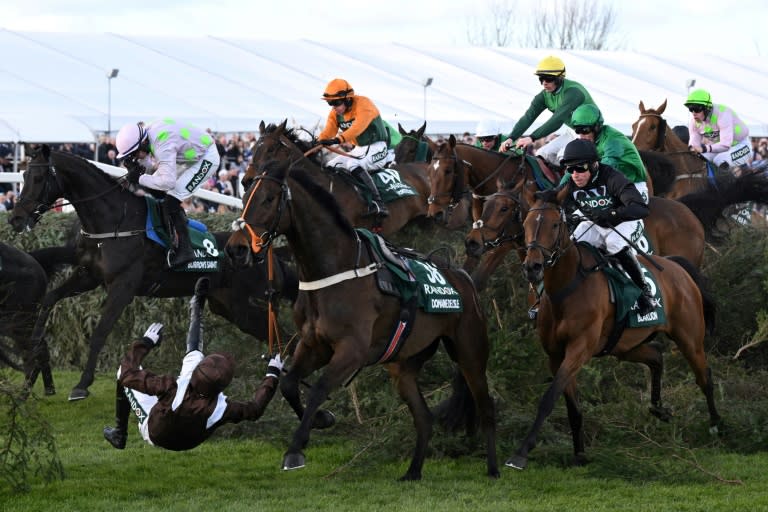 Spectators will still expect thrills and spills in a reformed Grand National as AFP picks a quintet to light up the race this year (Paul ELLIS)