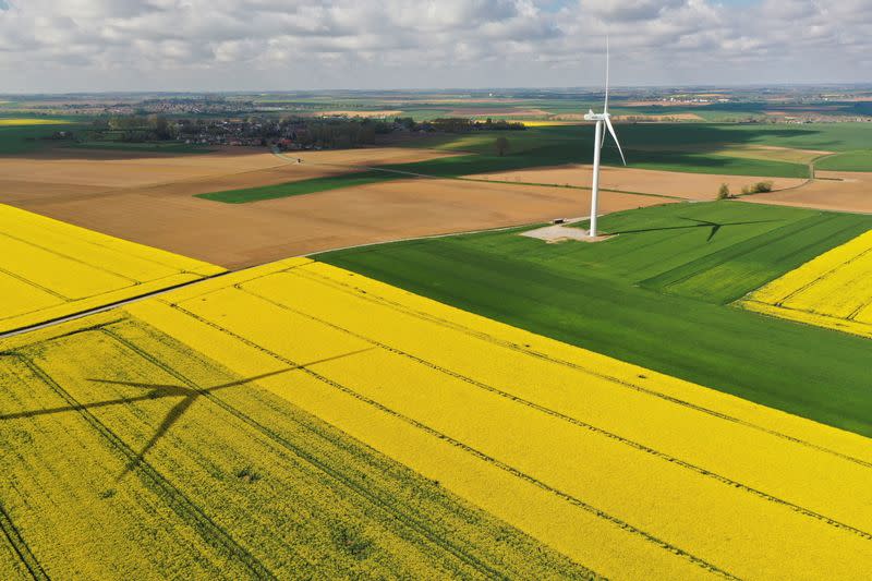 FILE PHOTO: Aerial view shows power-generating windmill turbine amidst rapeseed fields, in Saint-Hilaire-lez-Cambrai