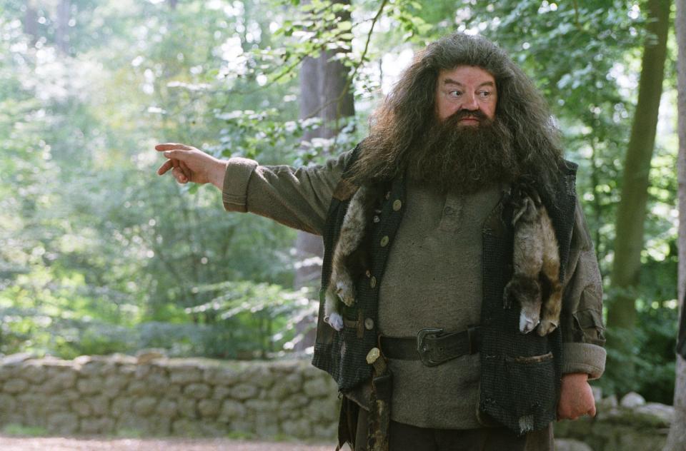 Robbie Coltrane, as Hagrid, in a scene from "Harry Potter and the Prisoner of Azkaban."