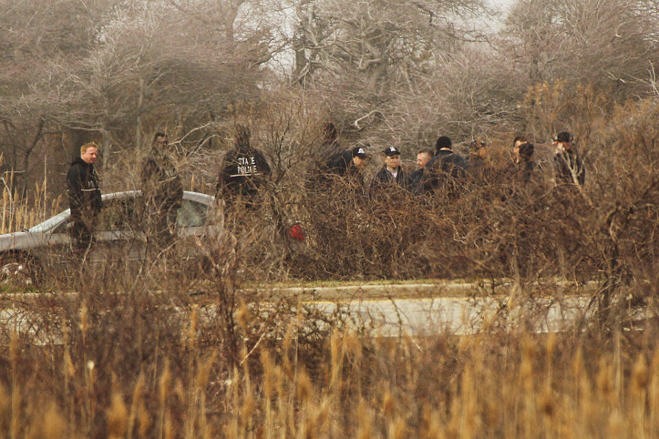 police searching brush in long island