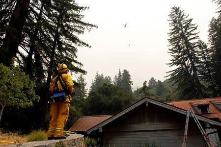 A San Francisco Fire Department firefighter watches as a helicopter comes in for a water drop during the Soberanes Fire off of Rancho San Carlos Road near Carmel Valley, California, U.S. July 29, 2016. REUTERS/Michael Fiala