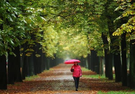 A woman enjoys a walk along an avenue of trees at Prater recreation area on a rainy autumn day in Vienna, Austria, October 16, 2015. REUTERS/Heinz-Peter Bader/Files