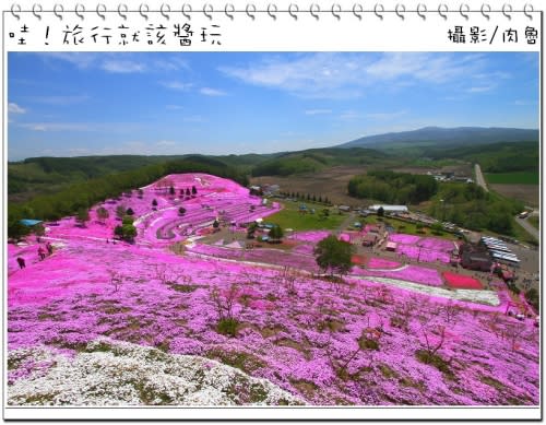 東藻琴芝櫻公園怒放超級滿開 撲天蓋地席捲而來的粉紅浪漫櫻花雪 一生一定要來朝聖一次的日本秘境