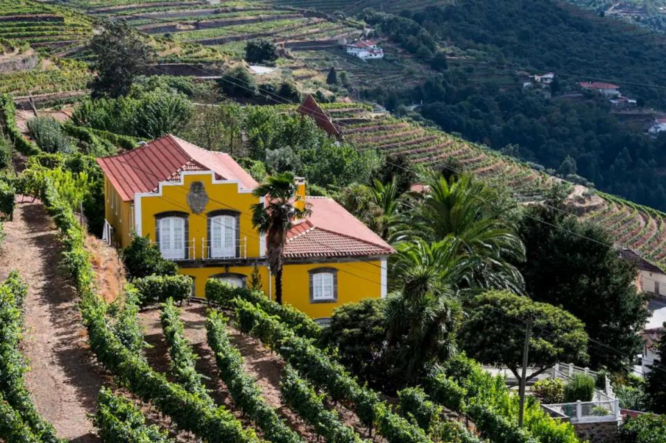 This charming 18th-century house is situated right in the world-renowned Alto Douro Wine Region (Airbnb Community)