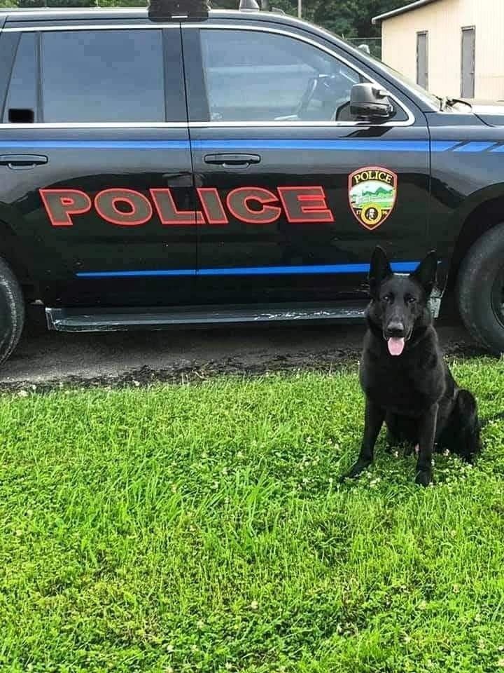 Officers from multiple departments gathered Monday to honor the life of K9 Officer Fury, who died in the line of duty over the weekend.