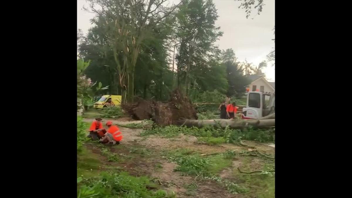 Crews Clear Downed Trees After Tornado Like Winds Blast Town In The