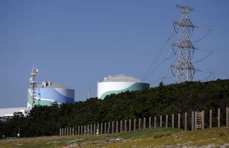 Kyushu Electric Power's Sendai nuclear power station is seen in Satsumasendai, Kagoshima prefecture, Japan, August 8, 2015. REUTERS/Issei Kato