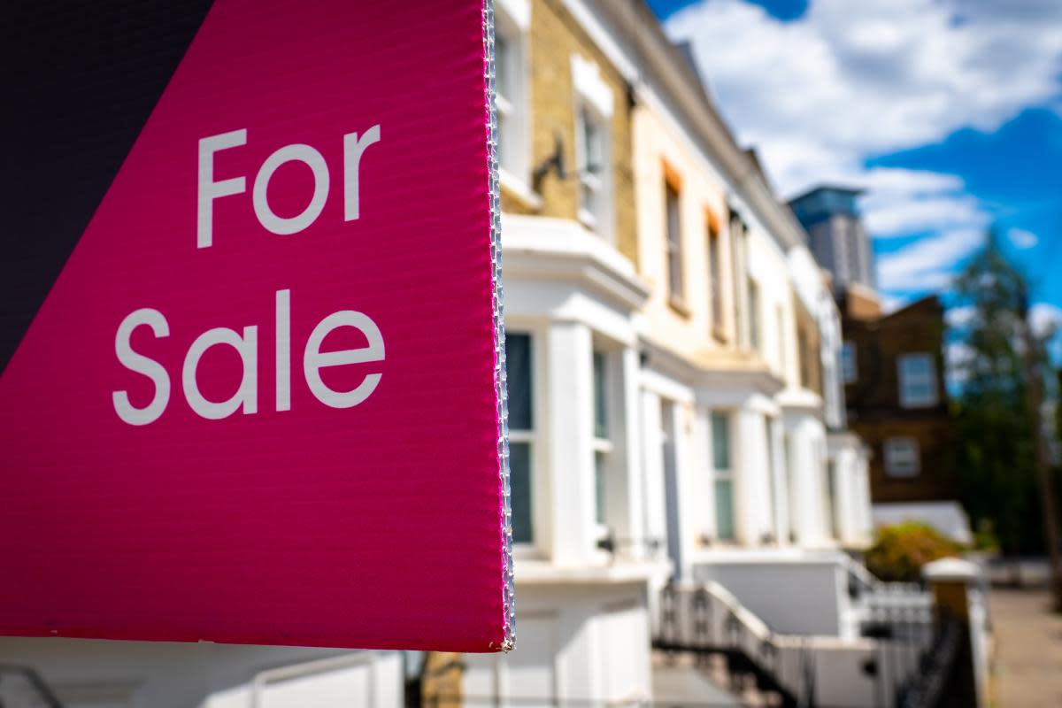 The full service estate agents at Yopa know all too well the nightmare issues that can keep many sellers up at night from problems like black mould to Japanese Knotweed. <i>(Image: Getty Images)</i>