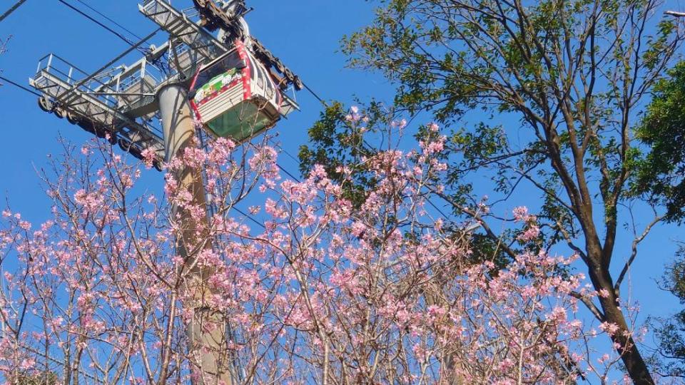 圖/臺北市政府工務局大地工程處