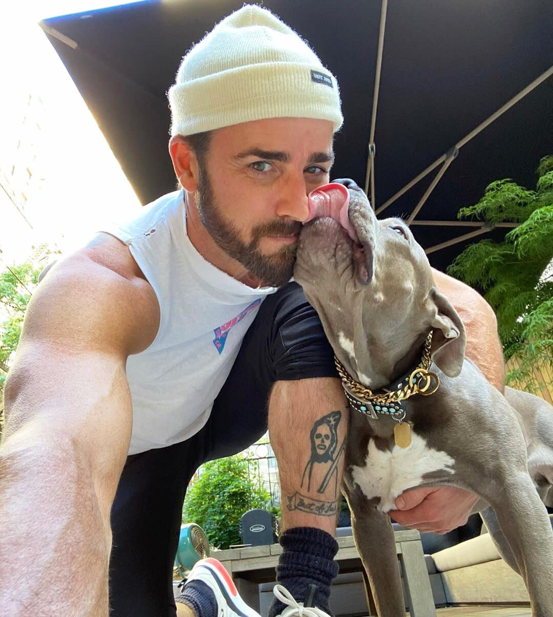 Justin Theroux's Dog Kuma Announces Her Own IG with Instagram Takeover