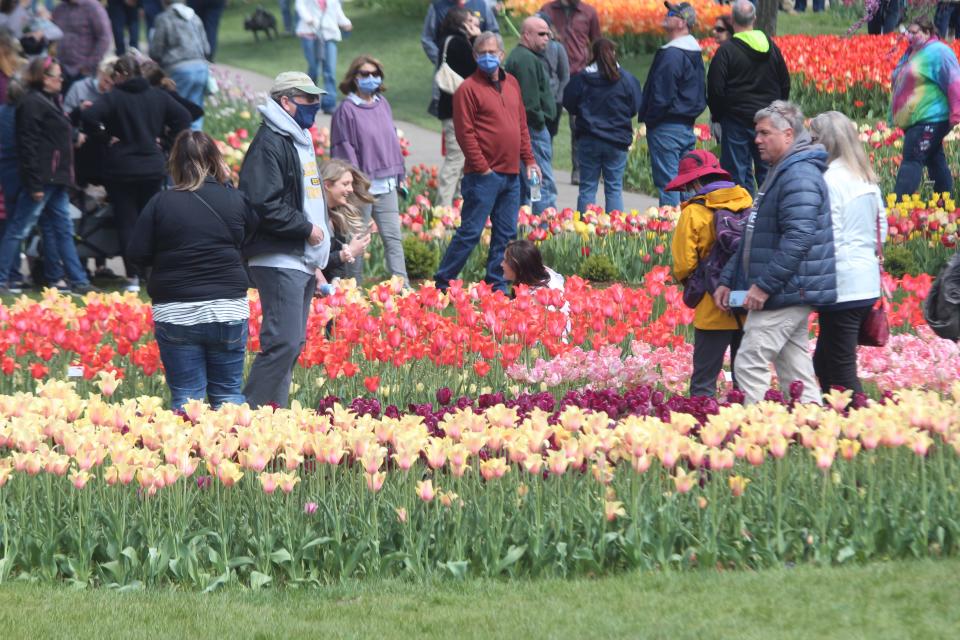 People gather with and without masks to gaze at tulips on Saturday, May 1, at Window on the Waterfront.