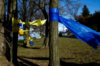 Navy blue and gold ribbons are wrapped around trees outside of Oxford High School on Thursday, Dec. 2, 2021 in Oxford, Mich. A 15-year-old sophomore opened fire at his Michigan high school on Tuesday, killing four students, including a 16-year-old boy who died in a deputy’s patrol car on the way to a hospital, authorities said. (Jake May/The Flint Journal via AP)