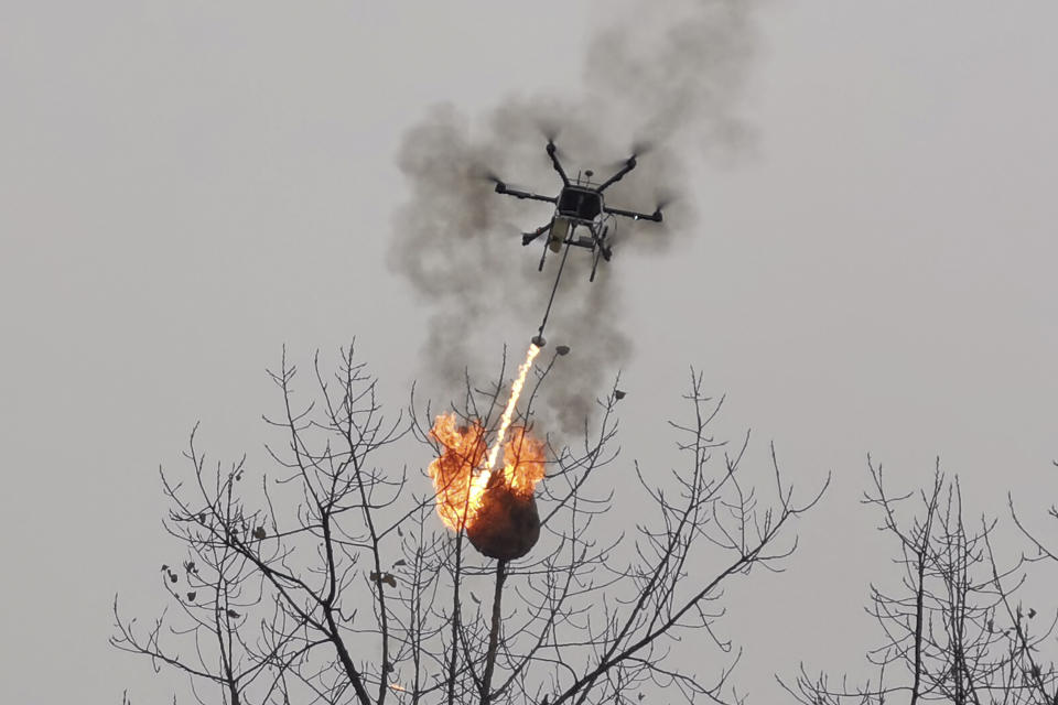 In this Dec. 10, 2020, photo released by Blue Sky Rescue of Zhong County, a drone equipped with a flamethrower burns a wasp nest at a village in Zhong county near Chongqing municipality in southwestern China. A drone has been converted into the flying flamethrower in central China in a fiery campaign to eradicate more than 100 wasp nests. (Blue Sky Rescue of Zhong County via AP)