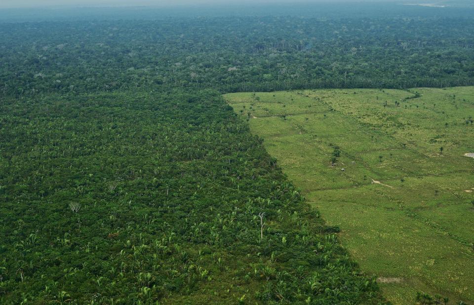 Aerial view of deforestation in the Amazon's western Amazon region in Brazil in September 2017. (Photo: AFP Contributor via Getty Images)