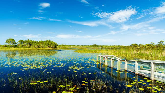 Port Saint Lucie Florida nature reserve