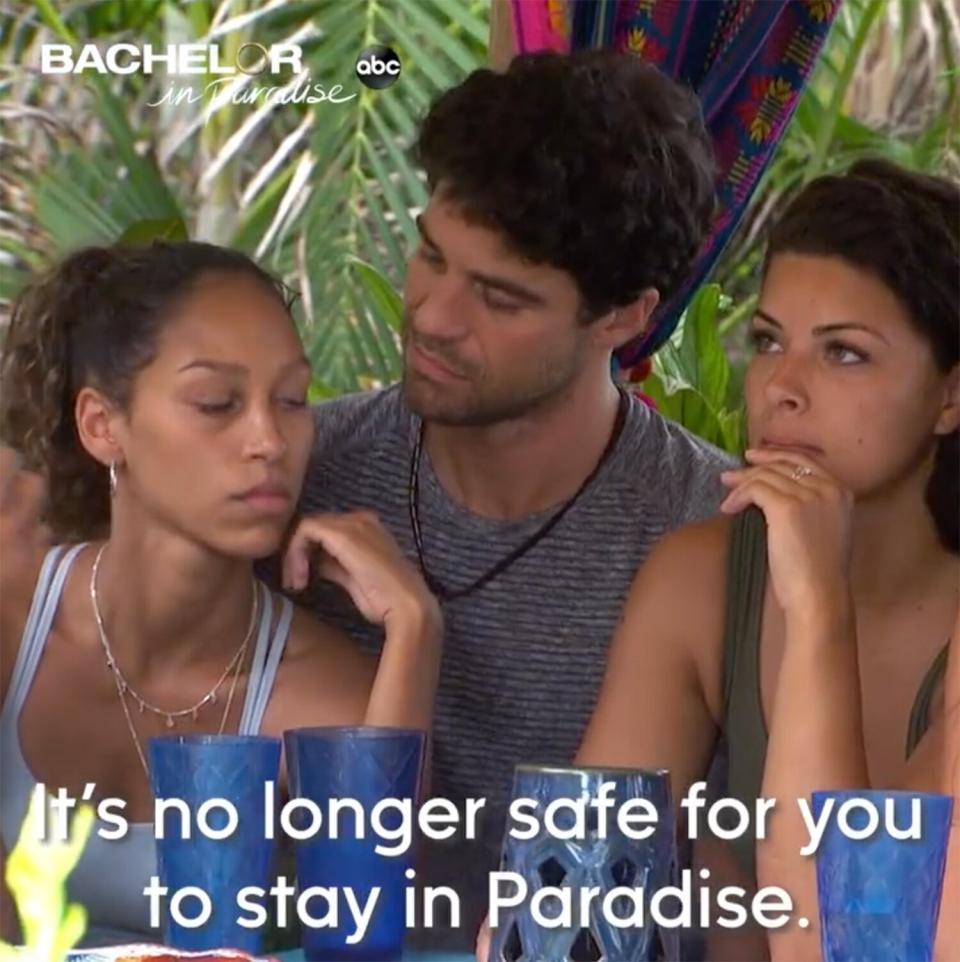 Bachelor in Paradise