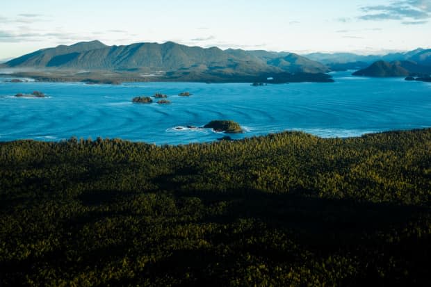 Incoming swell lines along Vancouver Island's coast.<p>Marcus Paladino</p>