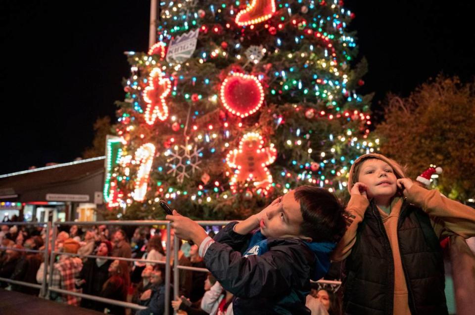 Kids cover their ears as fireworks go off during the holiday tree lighting and first performance of Theatre of Lights of the season Nov. 22 in Old Sacramento.